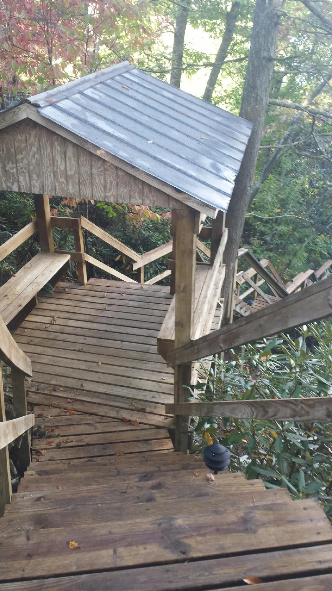 Metal roofed shelter over wooden steps on a wooded walkway — Skylight Repair & Installation work by our crew in Bergton