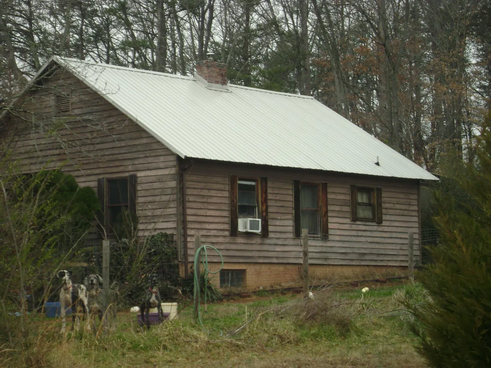 White metal roof on an old wood sided farmhouse, from a Asphalt Shingle Roof Repair job in Bergton